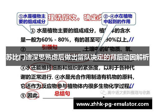 苏比门迪深思熟虑后做出留队决定的背后动因解析